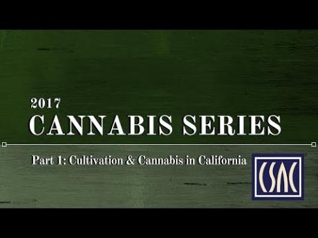 Cannabis Series — Part One: Cultivation and Cannabis in California