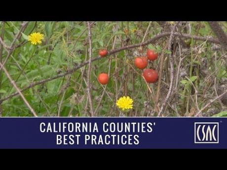 Best Practices: Los Angeles County’s The Growing Experience 
