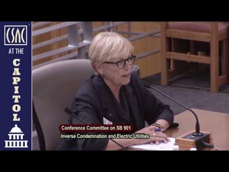 Napa County Supervisor Diane Dillon Testifies at State Capitol: Don’t change wildfire liability law!