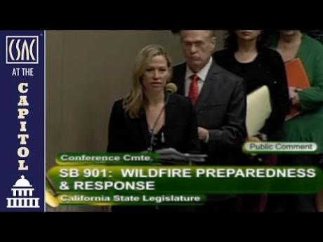 CSAC’s Cara Martinson Testifies In Support of the Wildfire Conference Committee Package