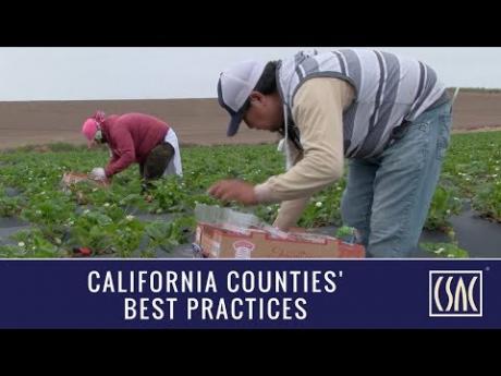 Monterey County Gives Farmworkers a Voice in their Health and Safety