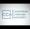 Learn About the California Cannabis Authority