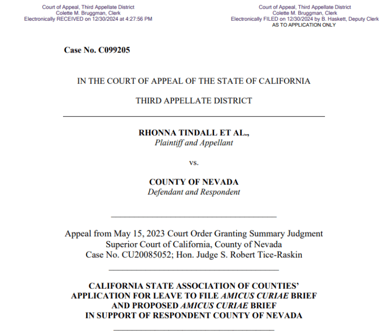 RHONNA TINDALL ET AL., Plaintiff and Appellant vs. COUNTY OF NEVADA Defendant and Respondent Brief cover