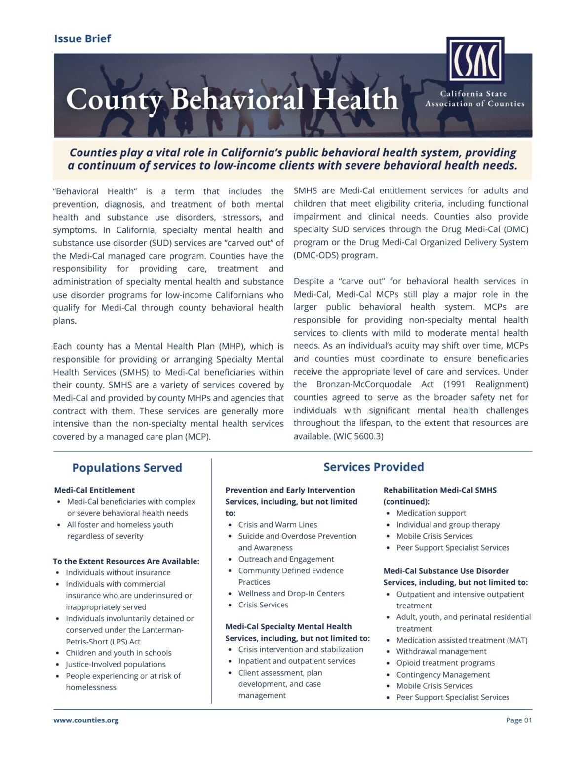 County Behavior Policy Issues - California State Association of Counties